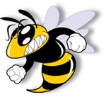 Wasp Nest Removal Sussex 371934 Image 2